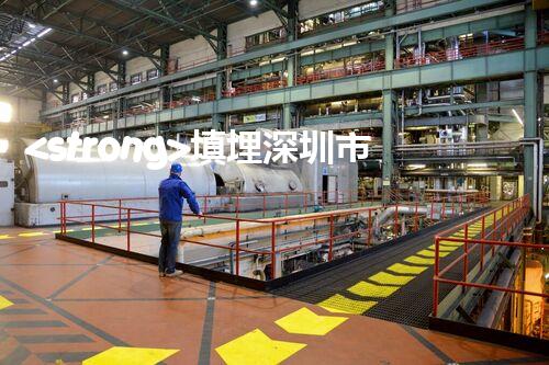 <strong>填埋深圳市危险废物处理站有限公司化工设施安全解体：如何高效处理复杂工业遗留问题？</strong>